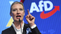 Germany Halts Surveillance of AfD Amid U.S. Pressure